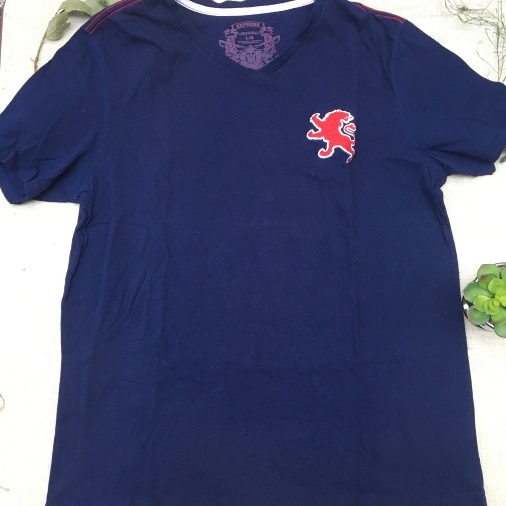 Express Men Navy Blue V-neck Cotton tee shirt